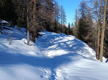 Tocht Ski randonnée Val-des-Prés - la caro - Photo