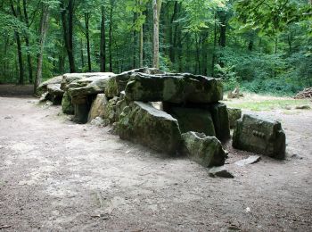 Randonnée A pied Mesnil-Roc'h - La Maison des Feins - Photo