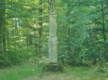 Trail Walking Grosmagny - Rando des Marcheurs du 7 Août 2025..Grosmagny - Photo