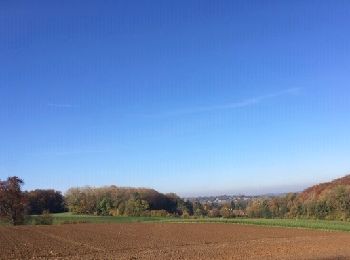 Tour Zu Fuß Chaumont-Gistoux - Gistoux - Héze - Longueville - - Photo