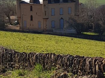 Tour Wandern Val d'Oingt - le bois de la Flachère - Photo