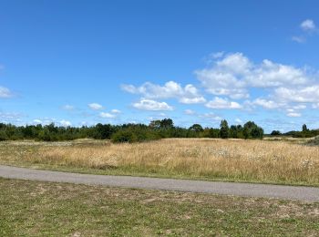 Randonnée sport Sluis - Groede Polder - Photo