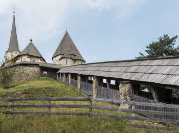 Percorso A piedi Deutsch-Griffen - Deutschgriffen-Albern-Rundweg - Photo
