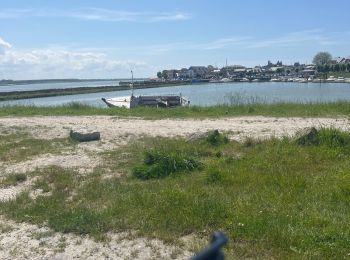 Randonnée Vélo de route Fort-Mahon-Plage - Entre Baie d’Authie et Baie de Somme - Photo