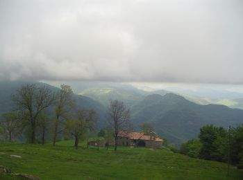 Trail On foot la Vall d'en Bas - Mirador de la Vall d'en Vas i la Garrotxa - Photo