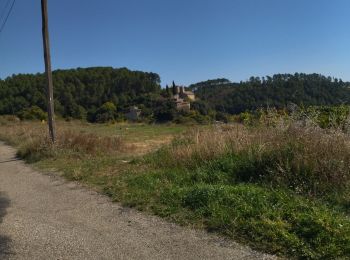 Excursión Bici de carretera Vogüé - 07 vogue j2 - Photo