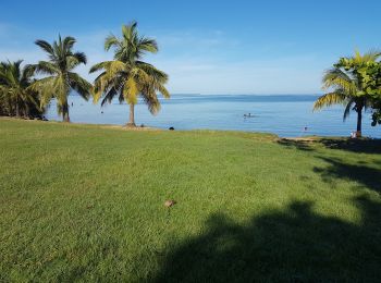 Trail Walking Morne-à-l'Eau - babin - Photo