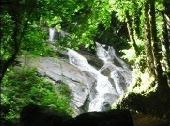 Randonnée Marche Escoussens - CASCADE DU MOUSCAILLOU - Photo