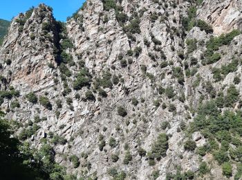 Percorso Marcia Thuès-Entre-Valls - gorge de la Carança  - Photo