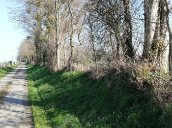 Tour Wandern Lieurey - Autour des mares de Lieurey  - Photo