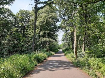 Tocht Te voet Querfurt - Hermannseck-Lodersleben - Photo