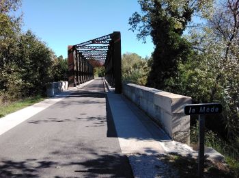 Tour Wandern Loriol-du-Comtat - autour de Loriol  - Photo