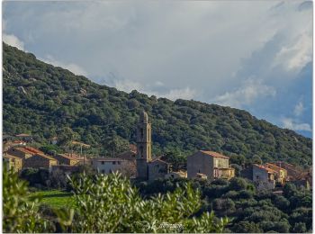 Randonnée Marche Monacia-d'Aullène - Monacia d'Aullène - Oriu (Cat2a) - Photo