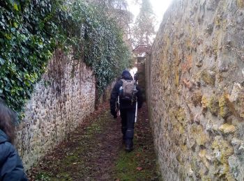 Randonnée Marche Saint-Fargeau-Ponthierry - Retour à l'école - Photo