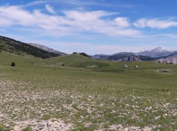 Tocht Stappen Châtillon-en-Diois - Les Cabanes de Châtillon (Glandasse) - Photo