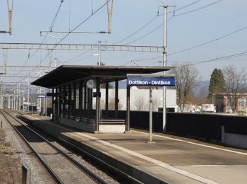 Tour Zu Fuß Villmergen - Hägglingen - Dottikon-Dintikon - Photo