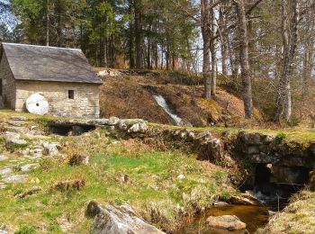 Randonnée Marche Pérols-sur-Vézère - Varieras_Razel - Photo