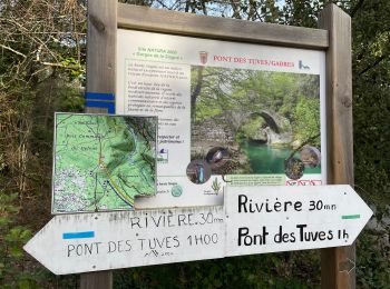 Excursión Senderismo Montauroux - Gorges de la Siagne - Photo