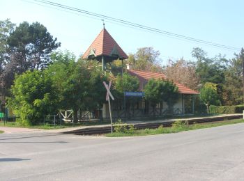 Percorso A piedi Gádoros - K+ (Árpádhalom - Orosháza Gyopárosfürdő - Gádoros) - Photo