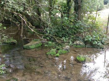 Excursión Senderismo Aigondigné - 2019-09-09 Vers Aigonnay - Photo