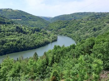 Randonnée Marche Brousse-le-Château - Au long du Tarn: de Brousse-le-Château à Curvalle - Photo