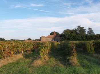 Tocht Stappen Condom - Graziac- Abbaye de Flaran -Valence sur Baise- Graziac - Photo