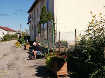 Randonnée Marche Fontenay - Fontenay circuit du chalet Boucher  - Photo