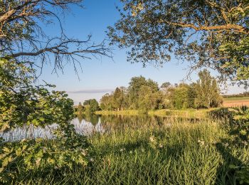 Tour Zu Fuß Bad Steben - Stemmer Steig DÖ 93 - Photo