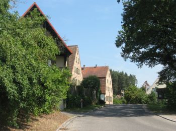 Tour Zu Fuß Roth - Naturlehrpfad Bernloher Wald - Photo