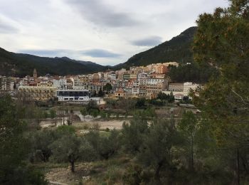 Tocht Te voet Montanejos - Monte del Copa - Photo