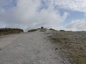 Tocht Te voet Saint-Nic - Circuit du Menez-Hom - Photo