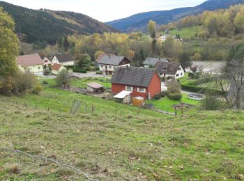 Excursión Senderismo Rimbach-près-Masevaux - 2019.11.14.Ermensbach  - Photo