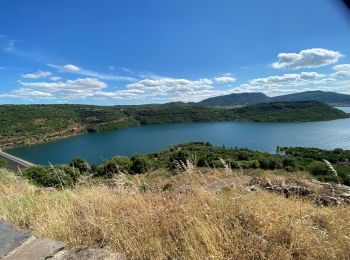 Excursión Senderismo Clermont-l'Hérault - PSG Lac de Salagou -3 - Photo