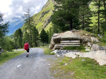 Randonnée Marche Gemeinde Längenfeld - Gries Amberger hutte 11 km - Photo