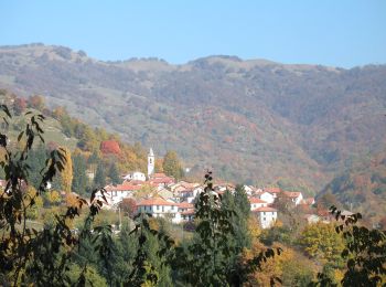 Tocht Te voet Propata - Bavastrelli - Monte Antola - Photo