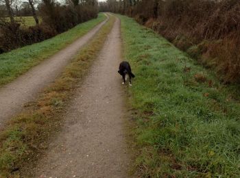 Tocht Stappen Pornic - chemin du port  - Photo