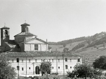 Tocht Te voet Sant'Angelo in Vado - IT-464 - Photo