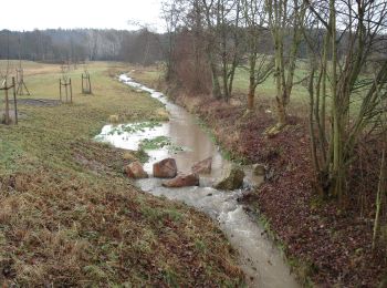 Tour Zu Fuß  - Nordic Walking 2 Rot Strietwald - Photo