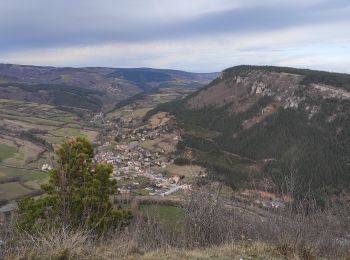 Excursión Senderismo Barjac - Villaret - Photo