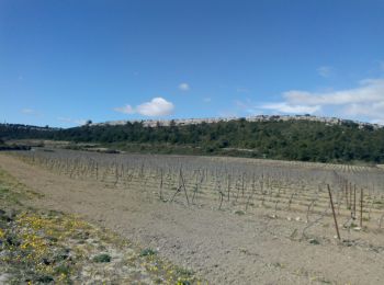 Trail Walking Armissan - peyriac de mer - Photo