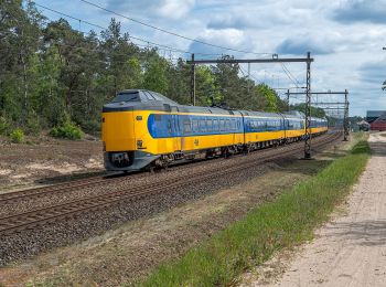 Tocht Te voet Rijssen-Holten - WNW Twente Look - oranje route - Photo