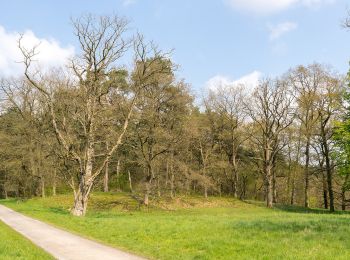 Trail On foot Hövelhof - A5 Ems-Erlebnisweg - Photo