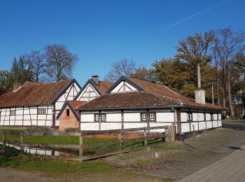 Percorso Marcia Heusden-Zolder - Bolderberg - Photo