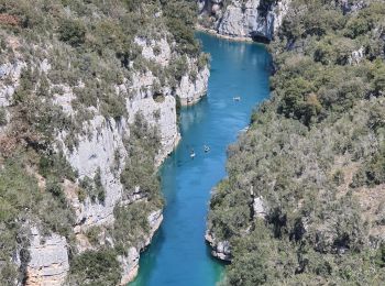 Randonnée Marche Baudinard-sur-Verdon - 2023-04-11 Gorges de Baudinard - Photo