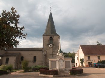 Trail On foot Montereau-Fault-Yonne - Les sentiers de la Préhistoire - Photo