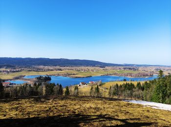 Percorso Macchina La Frasnée - Jura Classic Tour - Tronçon 5 - Photo