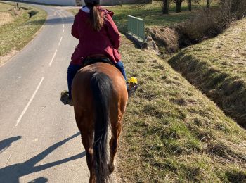 Trail Horseback riding Neuviller-lès-Badonviller - Belliana kiki  - Photo