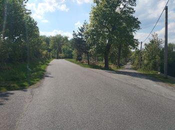 Tour Zu Fuß Reichenberg - NS Mojžíšův pramen - Císařský kámen - Photo