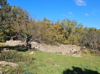 Randonnée Marche Cuers - Promenade sous les barres de Cuers, en partant du village de Cuers - Photo