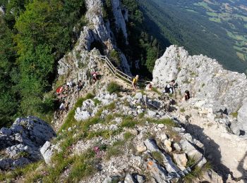 Trail Walking Le Bourget-du-Lac - DENT DU CHAT - MOLARD NOIR - Photo